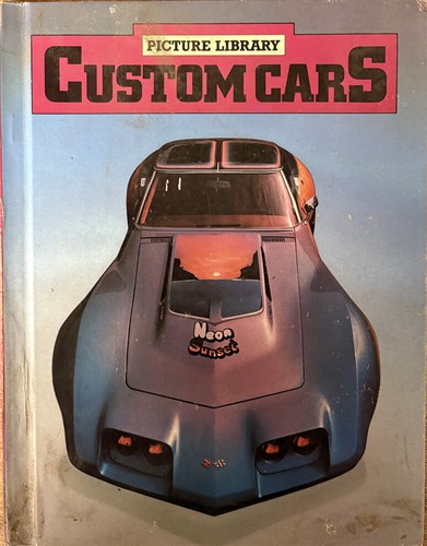 Custom Cars (Picture Library Series)